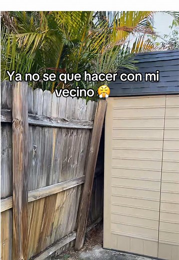 I’m impress by this portable mini chainsaw!!! Love it #chainsaw #chainsaws #garden #gardenproject #springcleaning #backyard #treeservice #backyardtransformation #cordlesschainsaw #landscaping