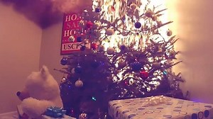 28K views · 139 reactions | The word is, more people are opting for...