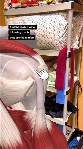 Shoulder anatomy explained: rotator cuff & labral tear #rotatorcuff