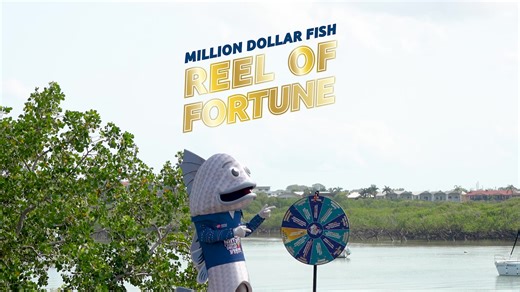 11K views · 106 reactions | MILLION DOLLAR FISH REEL OF FORTUNE |...
