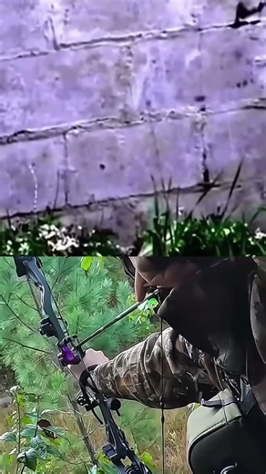 🎯 Perfect Aim: Hit the Mosquito on the First Try 🦟🏹