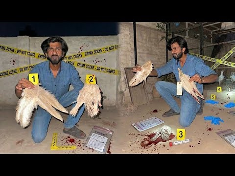 Yeh Kis Janwar Ki Lash Hai?