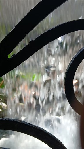 David deaf sign language (@davidpryor4)’s videos with original sound - David deaf sign language