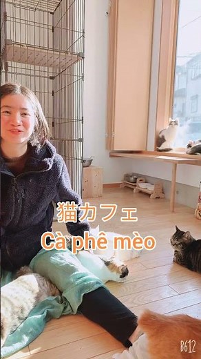 💫ベトナム語の声調練習 #50「猫カフェ cà phê mèo」 | ベトナムちゃん