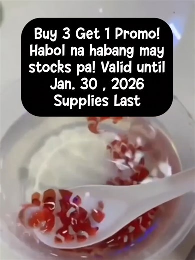 Understanding Clownfish in Saltwater Aquariums