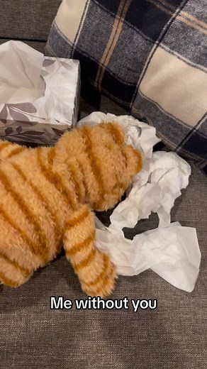 I wish I could see you 🥺 #garfield #sad #miss #cry #crying #tagsomeone