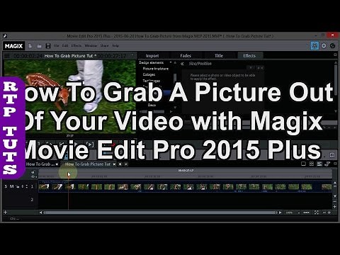 Magix Movie Edit Pro Plus: How To Grab a Picture from a Video (Exporting a single frame as jpeg).