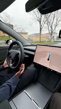 FSD TESLA, we tested it in PREVIEW!