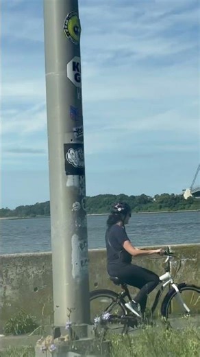 Verrazzano-Narrows Bridge, NY | #Shorts | Cool Places