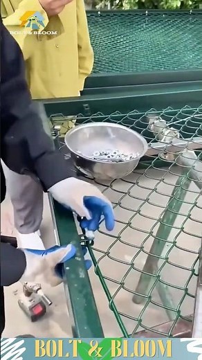 🛠️Wire Fence Installation Secrets Revealed