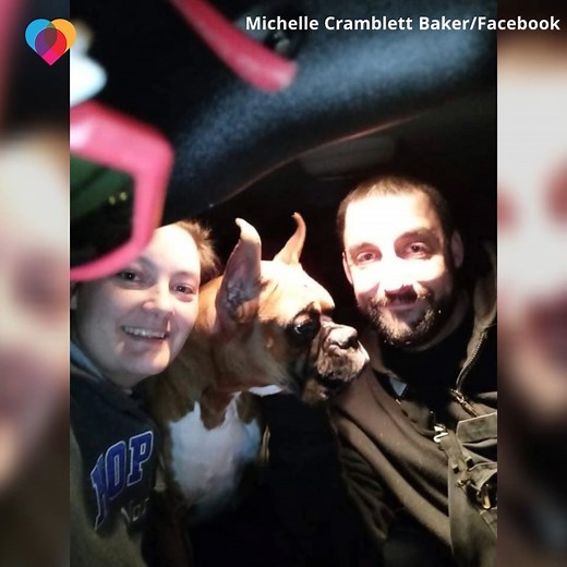 A prize-winning dog was stolen in a van – and spent three days in the freezing cold. But thanks to a local family's sleuthing skills, he was rescued | The Uplift