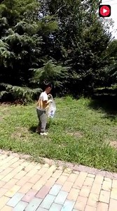 112K views · 1.5K reactions | Touching story | My Life | Facebook