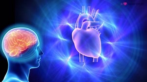 Why is the heart brain connection so important?