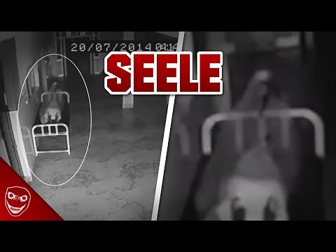 Menschenexperiment beweist, dass die Seele den Körper verlässt?