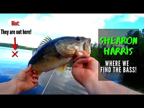 Shearon Harris Bass Fishing - The Strategy We Use to Consistently Find and Catch Bass