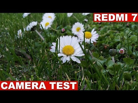 Redmi 7 Camera Test