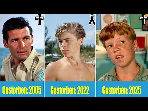 FLIPPER (1964): NUR EIN SCHAUSPIELER LEBT NACH 61 JAHREN! WAS IST DIE WAHRE GESCHICHTE?😱