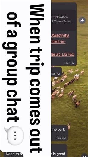 Every great trip starts with - Guys lets plan a trip? ✈️ & before you know it… you’re at the airport