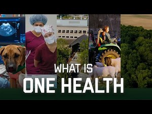What is One Health?