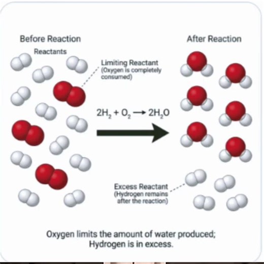 Limiting and Excess Reactants/Reagents