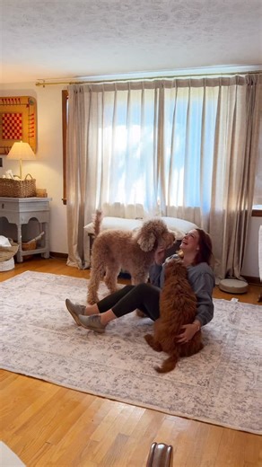 Sarah Vanessa /cozy home & life on Instagram: "“May the Lord smile on you and be gracious to you.” ‭‭Numbers‬ ‭6‬:‭25‬ ‭ . Don't forget to smile back! . Life is busy, don't forget to enjoy it... even when things are a mess, going wrong, and feel uncertain, there is still joy . This space always needed a rug to ground it! This is my 4th rug from @purecozy_amz they are my first choice, rugs I can toss in the washer are a game changer! Especially with these 2 . #goldendoodles #cozyhome #purecozyrug