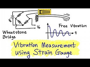 Cantilever Free Vibration Measurement Using Strain Gauges | Step-by-step Lab Tutorial