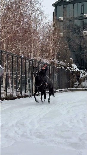 Akhal-Teke Horses in Xinjiang 🐎✨ | Life on Horseback