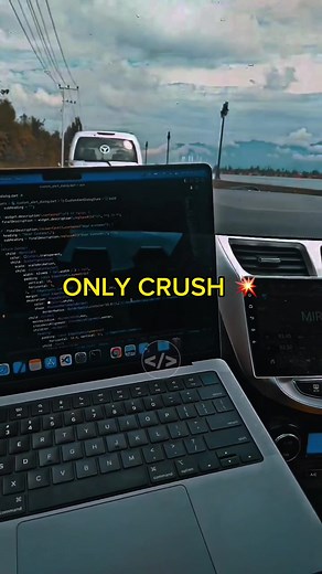 A Glimpse into the Life of Active Programmers