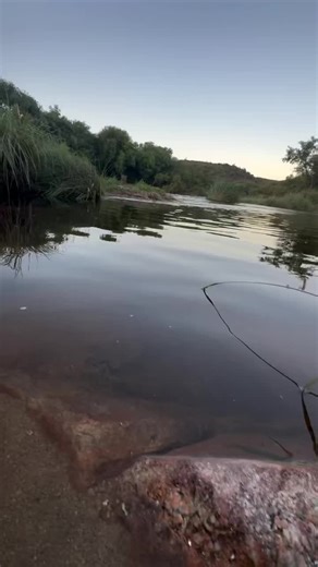Chino Yapura on Instagram: "Las guitarras del Chaqueño Palavecino, Nacho Zalazar( primera guitarra) y Gaby Millán de Metan guitarra base Tremendos músicos interpretan 🇦🇷Selección de Intros Zambas 🇦🇷 (zamba del cantor enamorado- zamba del carpintero- la vi bajar por el río - silencio de aloja) 🎥 @brunogonzalezbass #music #folklore #argentina #guitar #instagram"