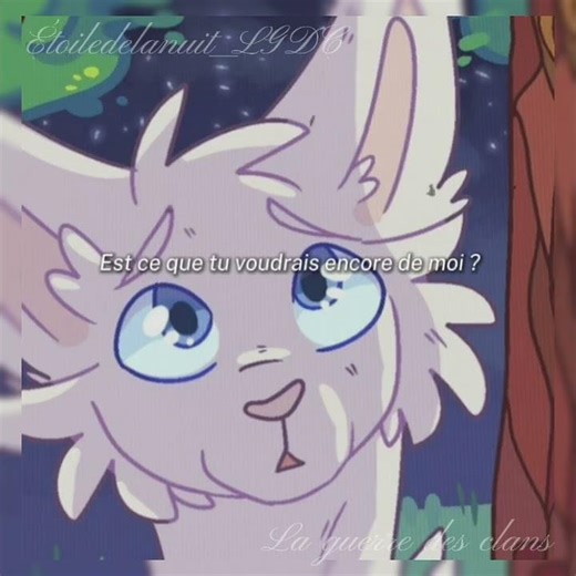 Brightheart and Cloudtail warriors cats [et si je dois rester le même] Flocon de neige et Cœur blanc