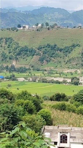 Chup Chap Apna Kaam Kro #jammuandkashmir #shortsvideo #viralreels #reels