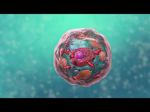 COMMENT LA VIE APPARAIT?