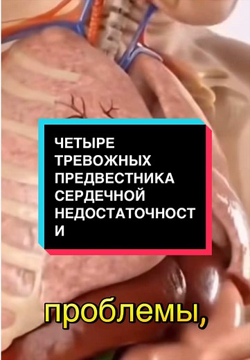 Four Warning Signs of Heart Failure