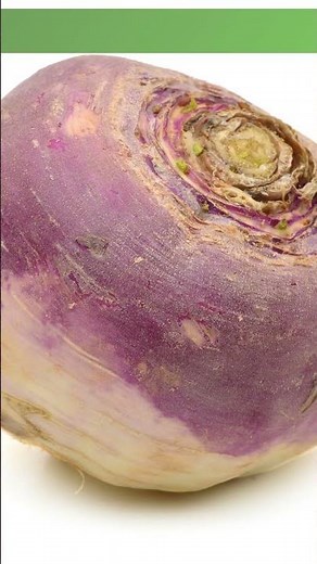 Rutabagas: The Underrated Veggie with Incredible Health Benefits #shorts