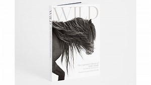 Wild: The Legendary Horses of Sable Island review | Horse & Hound