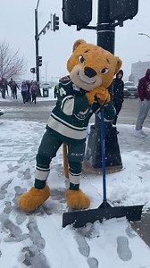 Our friend Crash with the Iowa Wild is helping clear the way for some fans.  Our Polar Pusher makes quick work of this big job! | Marshalltown Company | Facebook