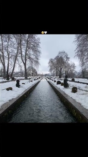 Koi nhi mera yahan tere siva 💓🥹🥹 #always #emotional #trendingnow #nature #awesomness #joyness