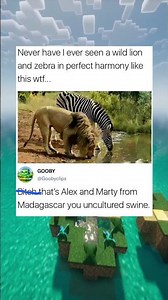 That's Alex and Marty from Madagascar