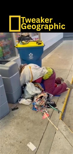 Tweaker Geographic Episode 121: “Dumpster Goblin”