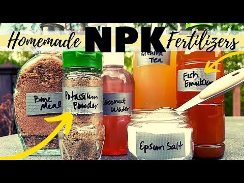 How to MAKE HOMEMADE FERTILIZER for a VEGETABLE GARDEN | 6 DIY Plant Food Recipes