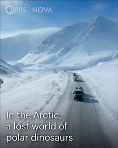 76 reactions · 7 comments | Stream “Alaskan Dinosaurs” from NOVA l PBS and answer the question: How did these Arctic dinosaurs survive year-round and raise their young in frigid and dark winter conditions? Available on the PBS Video app. | PBS | Facebook