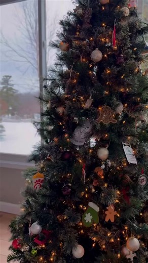 This week is all about JOY!! 🩷🕯️Today, light the pink candle for Gaudete Sunday | Hallow