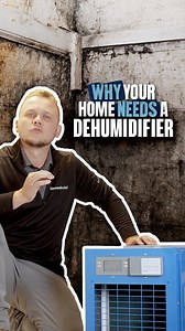 25 reactions | Is your basement damp and humid? ️ Here's why you...