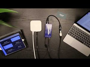 Vibrio - Setup Tutorial