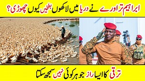 545K views · 33K reactions | Why Ibrahim Travre Released Millions of Ducks Into the River No one saw it coming — millions of ducks, one mysterious man, and a river that will never be the same. Was it a protest, a rescue mission, or the world’s strangest art project? The story of Ibrahim Travre will leave you quacking. #DuckMystery #IbrahimTravre #RiverOfDucks #ViralStory #WTFNews #DuckInvasion | Amazing Info | Facebook