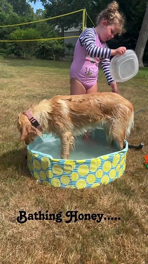 2.7K views · 114 reactions | Splish splash Honey and Max #fyp #Summer #dog #splishsplash | Along Came Abby | Facebook