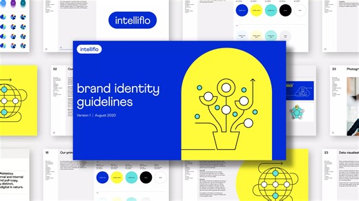 intelliflo guides