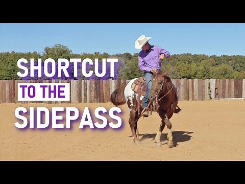 Teach your horse to SIDEPASS in 10 minutes - Pt 1