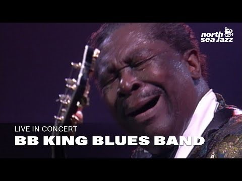BB King Blues Band - 'Ain’t Noboy Home' [HD] | North Sea Jazz (1993)