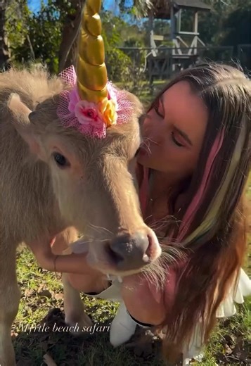 Celebrate National Unicorn Day with Cute Baby Unicorns